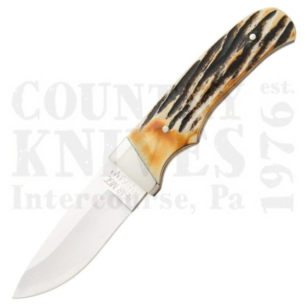 Buy Bear & Son  B549 Pro Hunter - India Stag Bone at Country Knives.