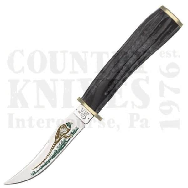 Buy Case  CA17917 Pheasant Knife - Buffalo Horn at Country Knives.