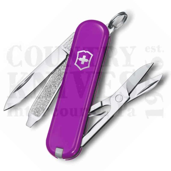 Buy Victorinox Victorinox Swiss Army Knives 0.6223.52G Classic SD - Tasty Grape  at Country Knives.